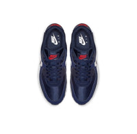 Airmax 90 Blue Phantom